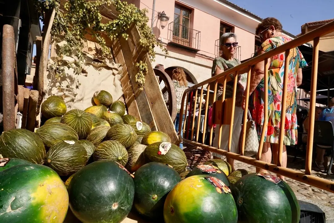 El delegado territorial de la Junta, Eduardo Diego, ejerce como pregonero de la Romer&iacute;a de La Melonera, a la que tambi&eacute;n acude el presidente de las Cortes de Castilla y Le&oacute;n, Carlos Poll&aacute;n