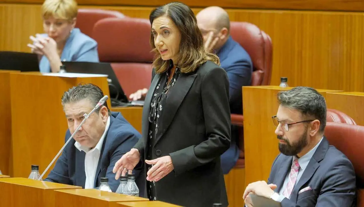 La procuradora de UPL Alicia Gallego en el pleno de las Cortes.