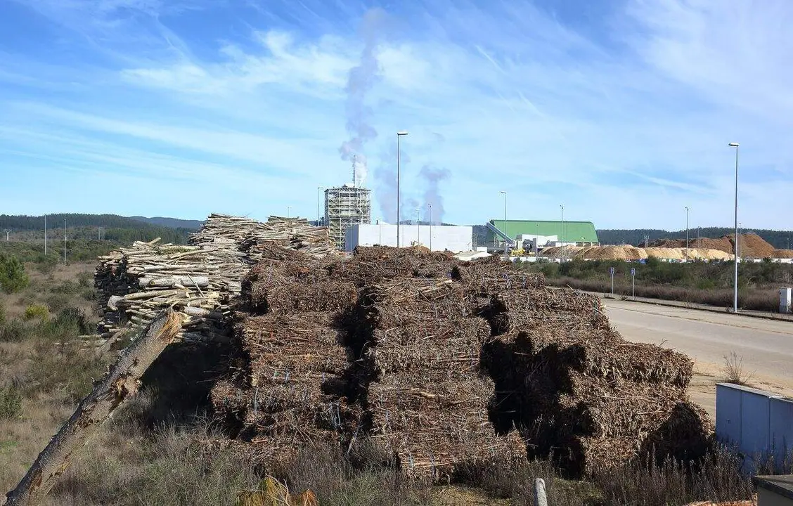 Actividad de la empresa Forestalia en el polígono industrial de Cubillos del Sil (León). Foto: César Sánchez
