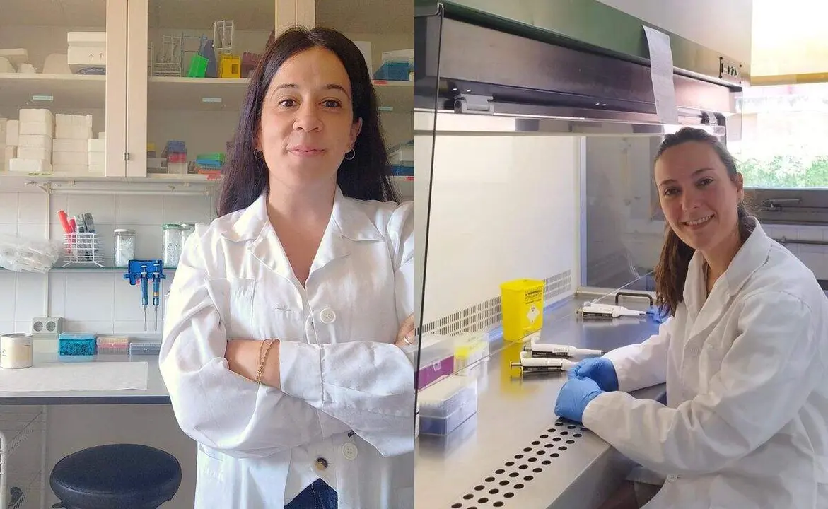 investigadoras ule
