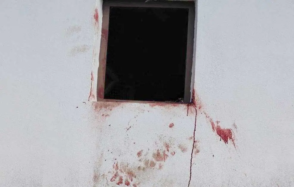 Restos de sangre tras un ataque de osos a una instalación agrícola.