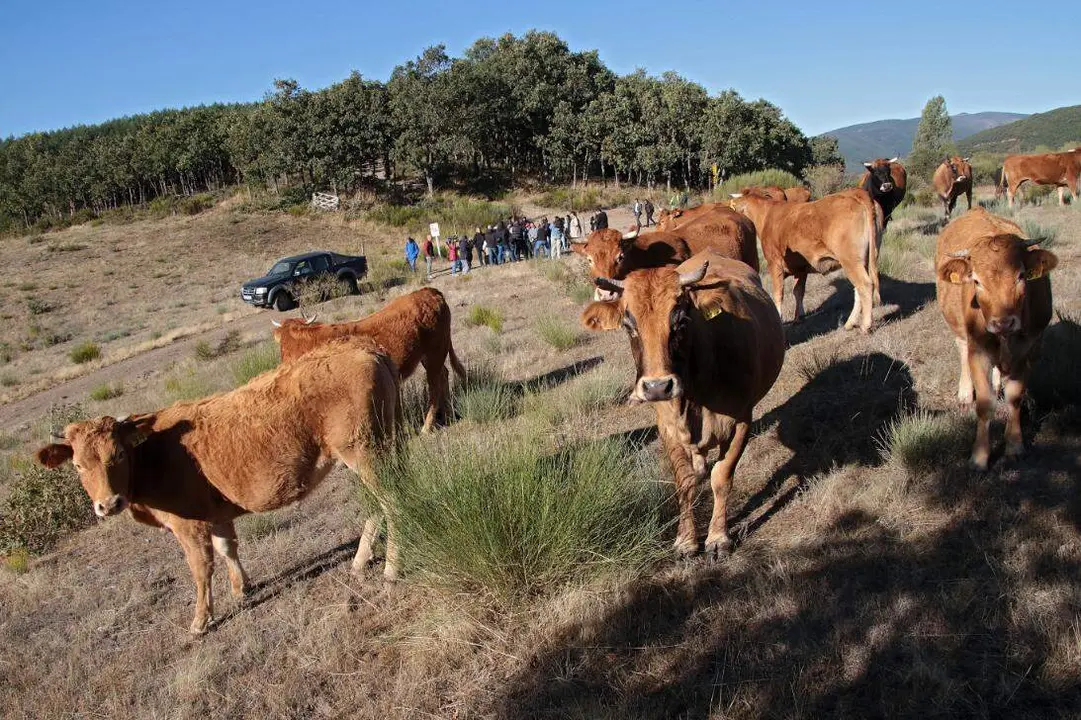 El ministro ha visitado este jueves las explotaciones agrícolas de la provincia de León. Foto: Peio García
