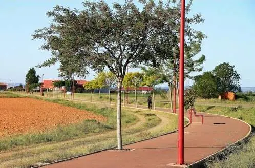 El paseo de Circunvalación de Santa María del Páramo que será objeto de obras de mejora.