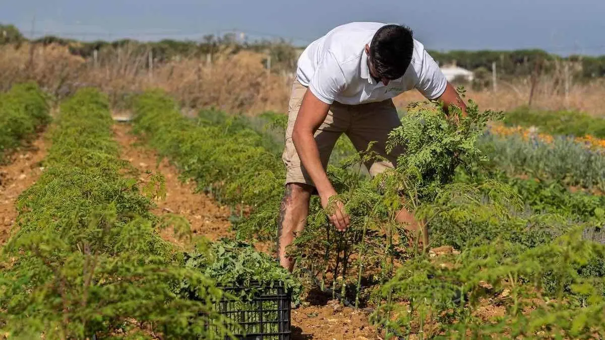 joven agricultor