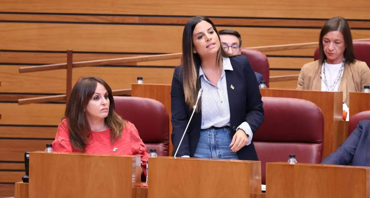Nuria Rubio, viceportavoz del Grupo Parlamentario Socialista en las Cortes de Castilla y León.