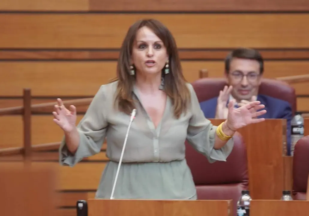 Un instante del pleno de las Cortes de este martes.