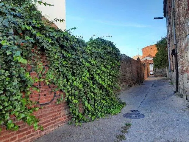 Estado actual de la calle Tres Mitras, detrás de la céntrica Iglesia de Renueva, en León.
