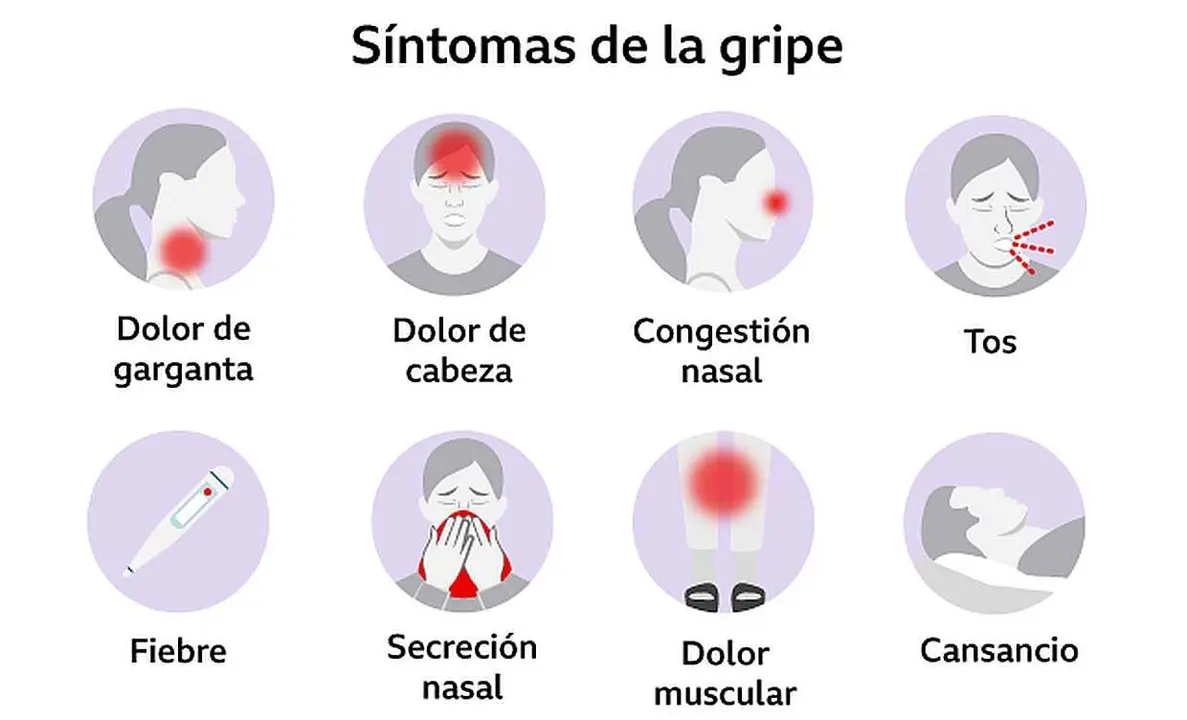 Sintomatología de la gripe, en muchos casos idéntica a los casos de repunte de la Covid-19.