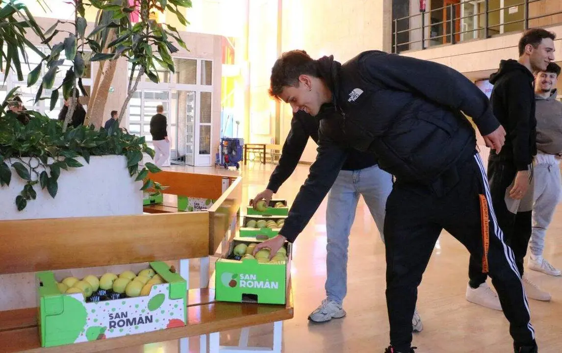 FRUTA ULE