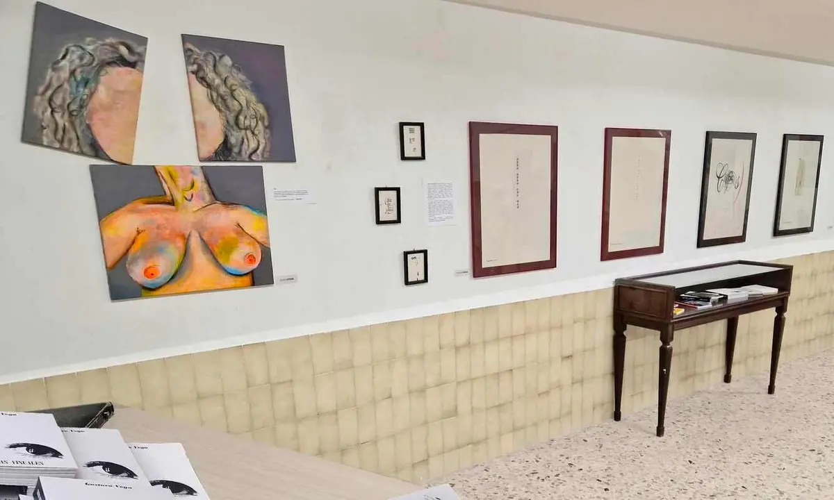 ARTE SIN BARRERAS F MERAYO 2
