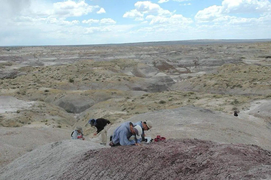 Jorge García Girón, profesor de Ecología de la Universidad de León, es coautor de un artículo en el número del 23 de octubre de la revista Science, que explora los últimos ecosistemas dominados por dinosaurios en la Cuencia de San Juan, al noroeste de Nuevo México