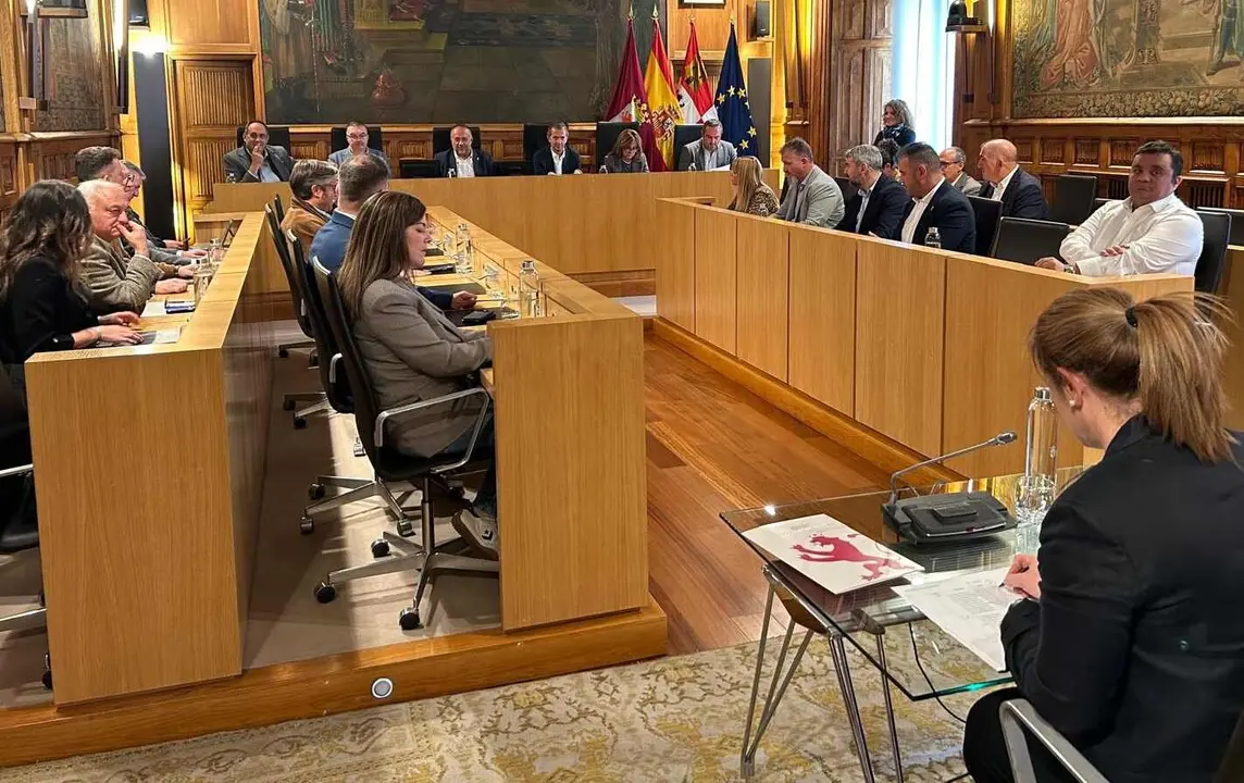 Imagen del pleno exprés celebrado este viernes.