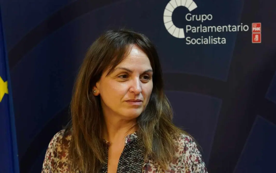 La portavoz del Grupo Parlamentario Socialista, Patricia Gómez, analiza asuntos de actualidad de Castilla y León.