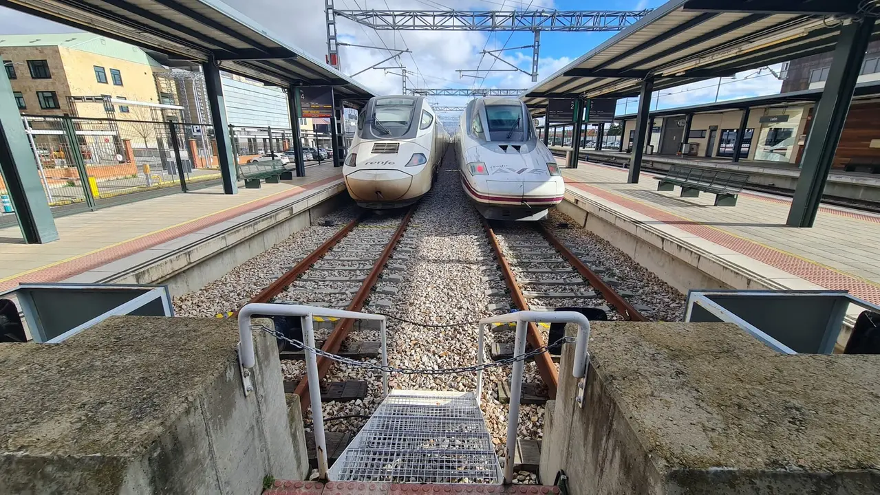 Trenes AVE y Alvia en la Estaci&oacute;n de Le&oacute;n.