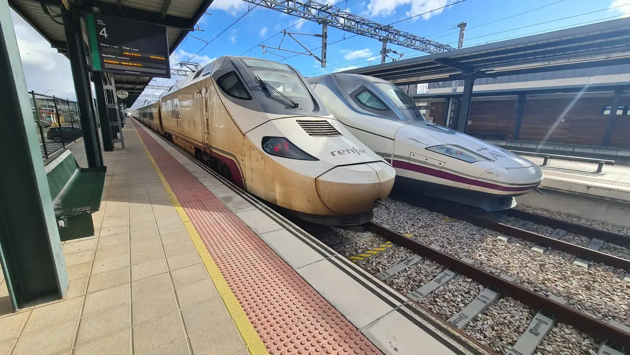 Imagen de dos trenes en la estación de León.