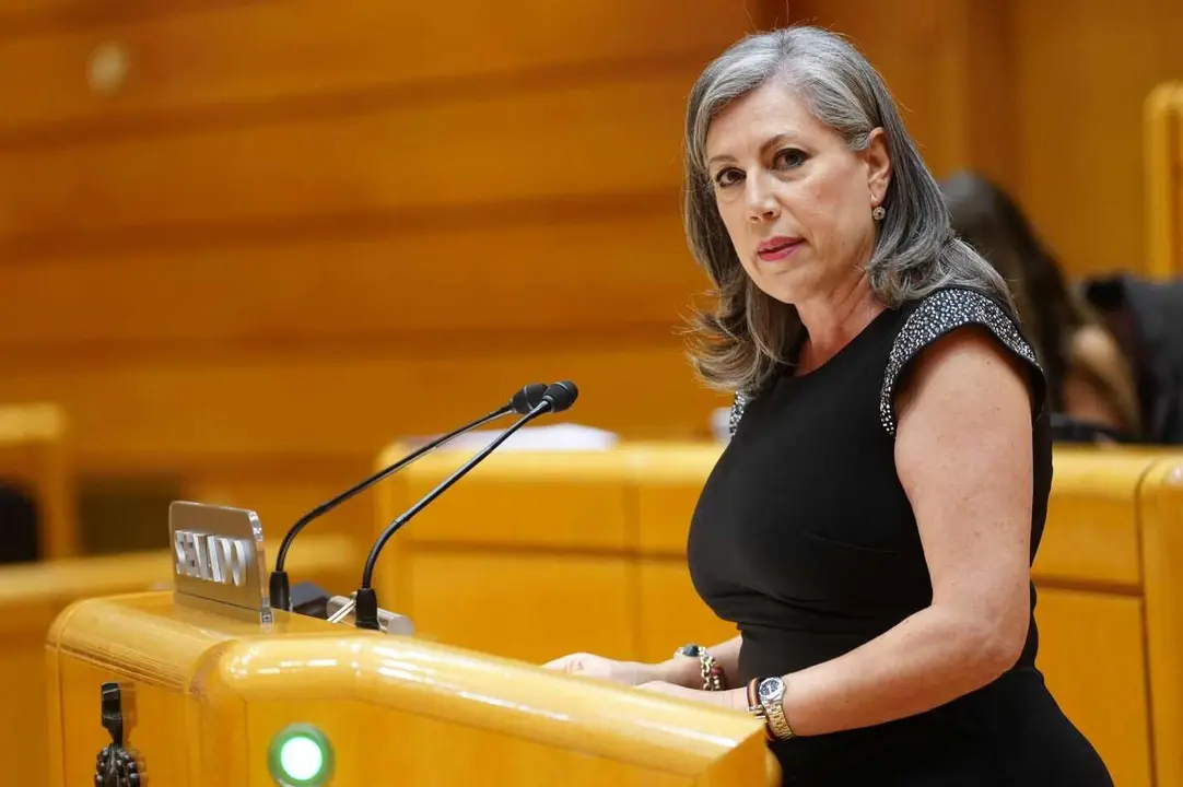 Asunción Mayo, durante su intervención en el Senado.
