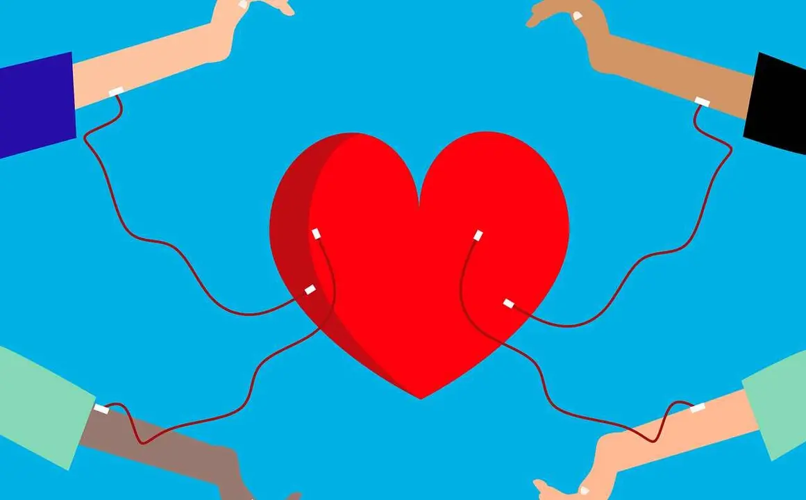 La Hermandad de Donantes de Sangre de León publica los puntos de donación de sangre del 7 al 15 de noviembre.