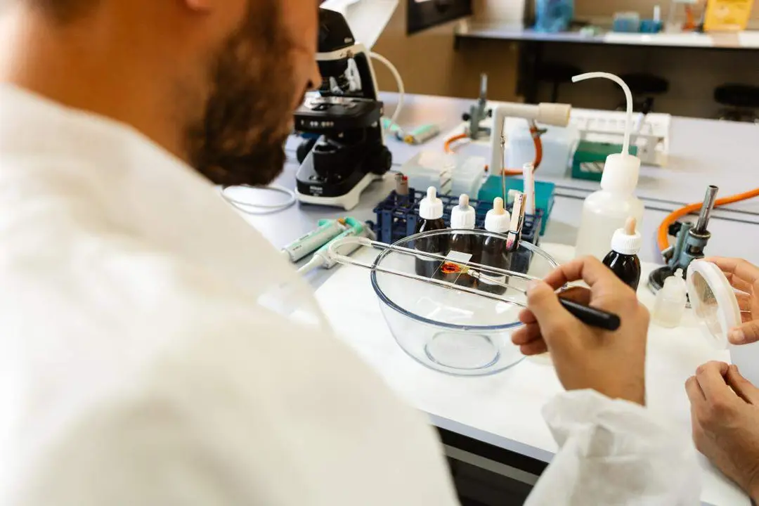 Laboratorio de Tecnología de los Alimentos de la Universidad de León. Foto: ULE