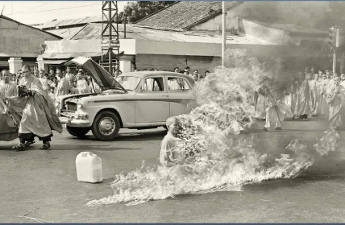 Imagen parcial de la portada de Miss moon.