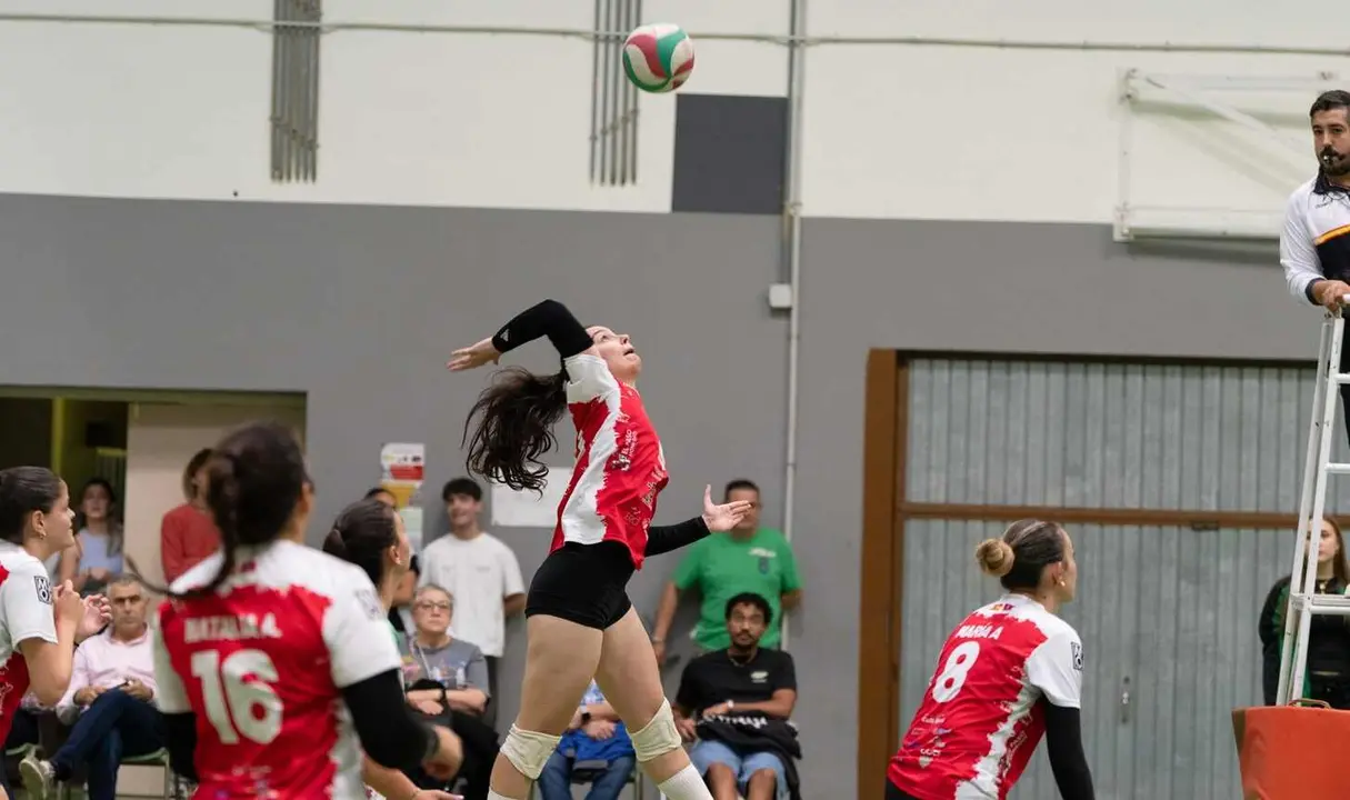 Voleibol