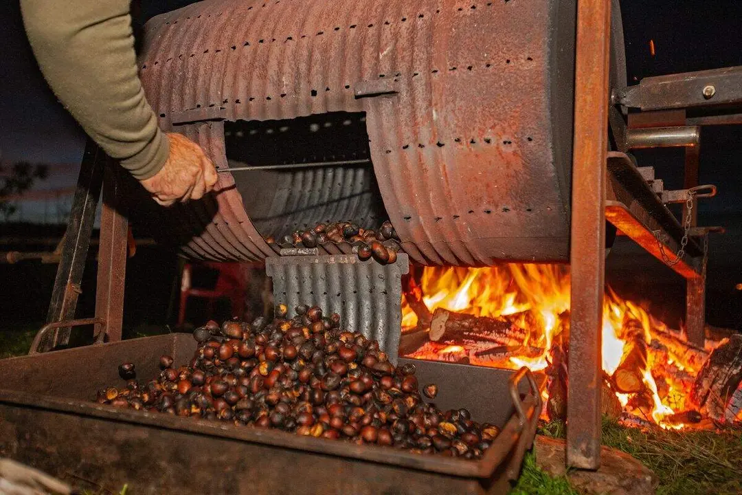 Magosto tradicional en El Bierzo.