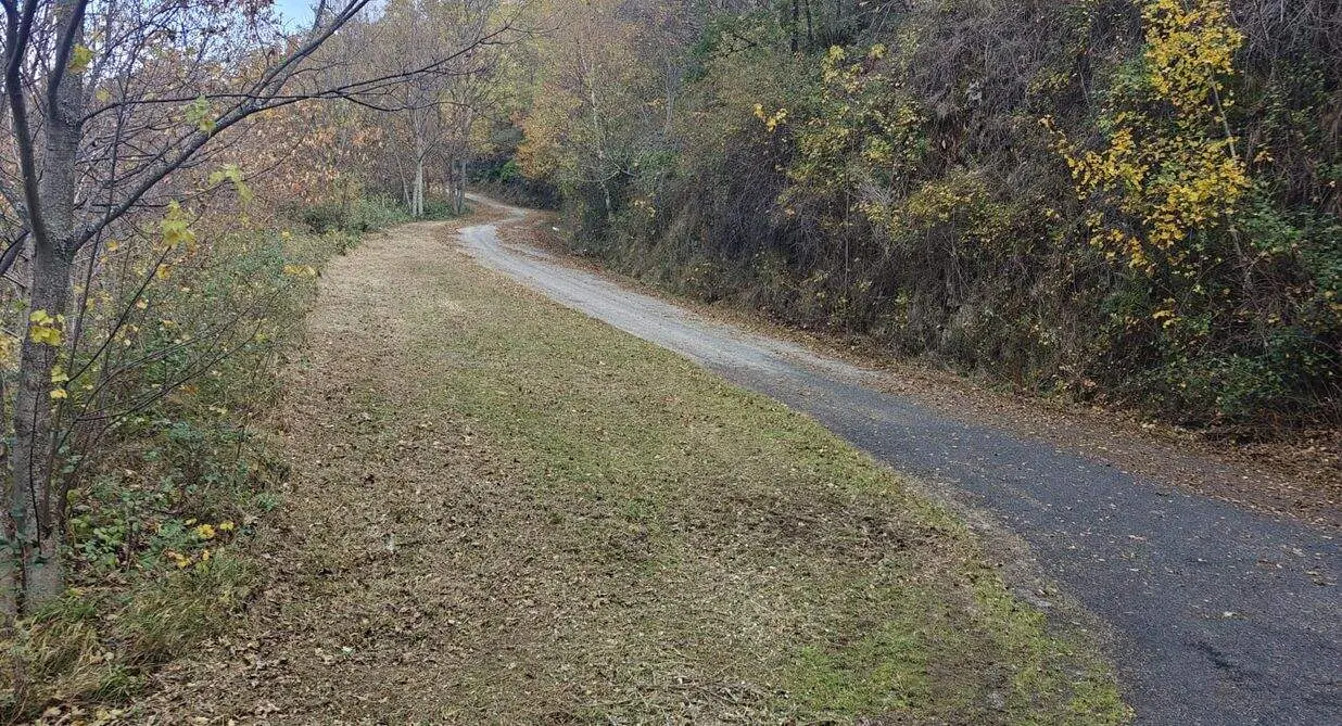 Desbroce carretera Carracedo de Compludo 11