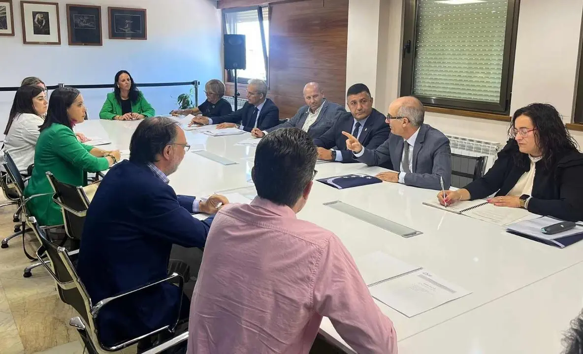Carmen Mallo, durante la reunión del consejo.