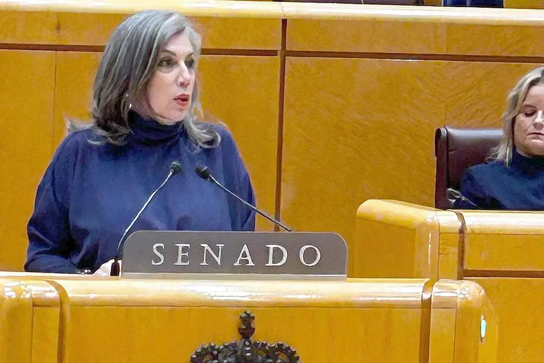 Asunción Mayo, durante su intervención en el Senado.