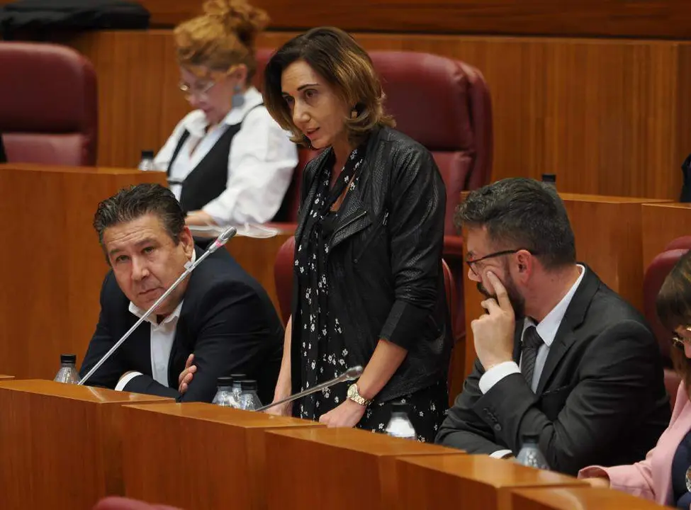 La secretaria general y procuradora de UPL, Alicia Gallego.