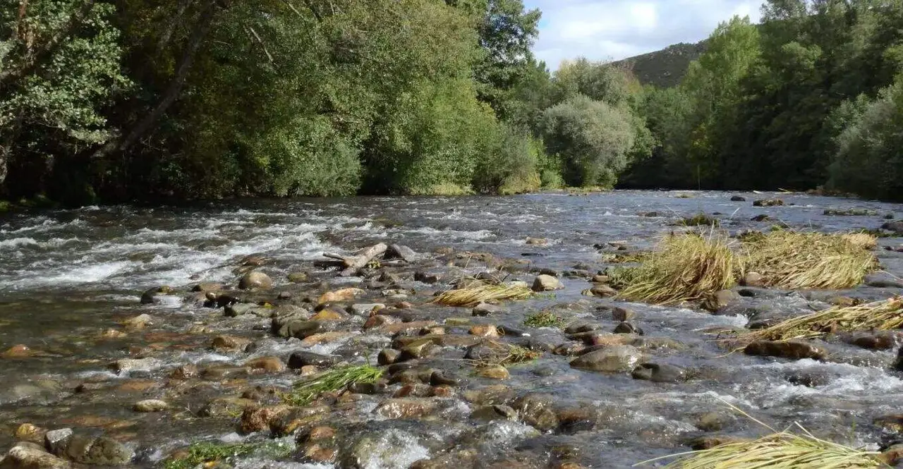 río Cúa en Carracedelo