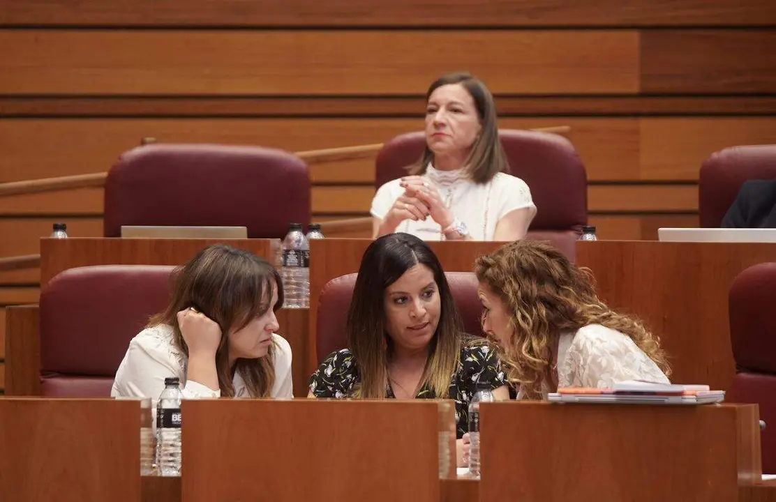 Nuria Ribio (centro) durante un pleno de las Cortes de Castilla y León. Foto: Ical
