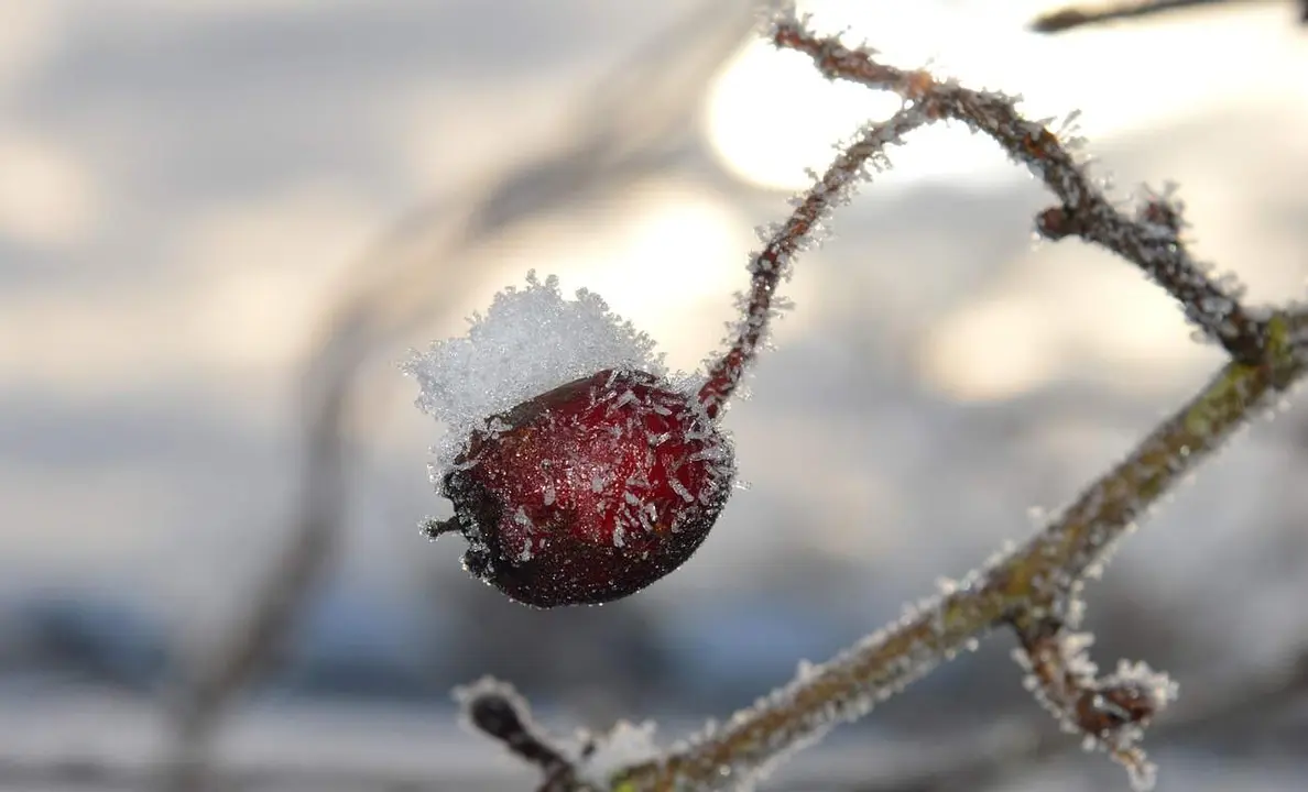 EL intenso frío marca el fin de semana en la provincia de León.