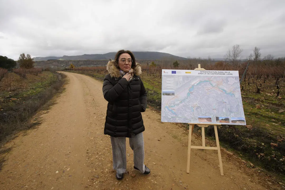 La consejera de Agricultura, Ganadería y Desarrollo Rural, María González Corral, durante su visita a las obras de la infraestructura rural de la concentración parcelaria de Castropodame (León)