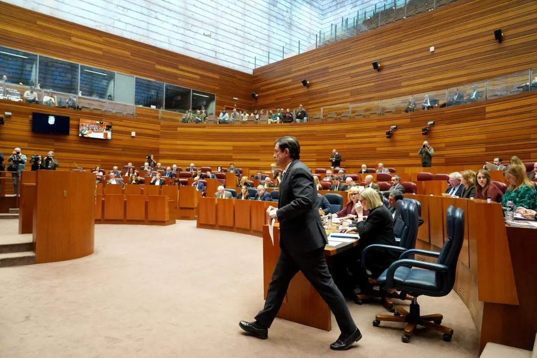 Pleno de las Cortes (2)