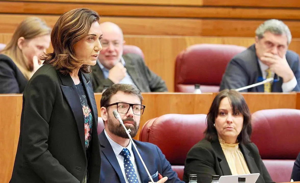La procuradora de UPL, Alicia Gallego, durante el pleno de las Cortes.