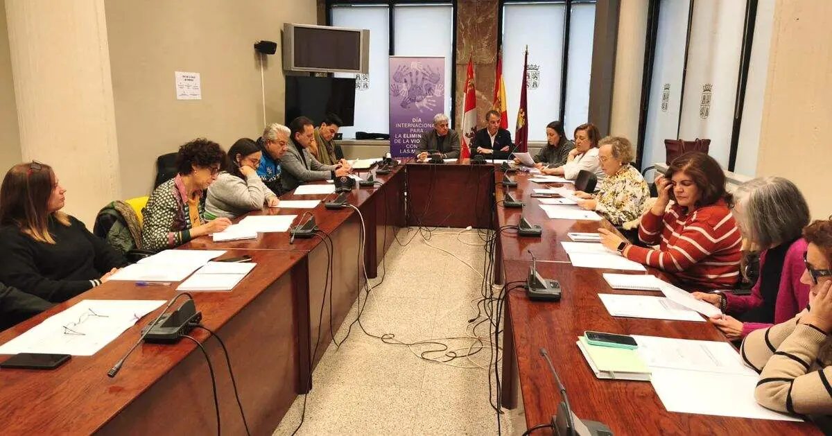 Comisión Violencia Género 1