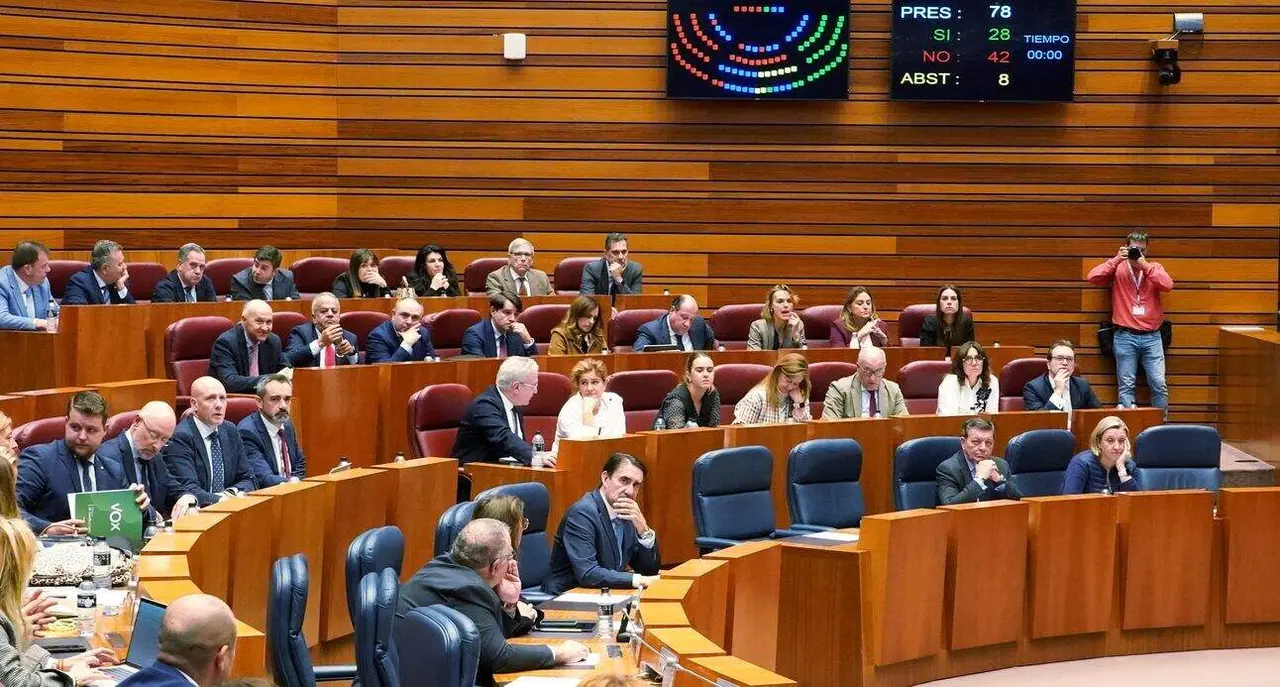 Votación en la segunda jornada del pleno de las Cortes de Castilla y León.