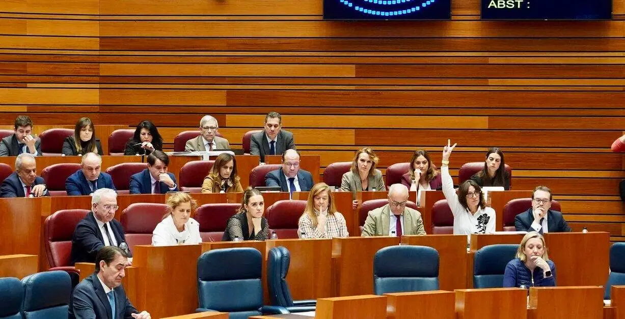 Votación en la segunda jornada del pleno de las Cortes de Castilla y León.