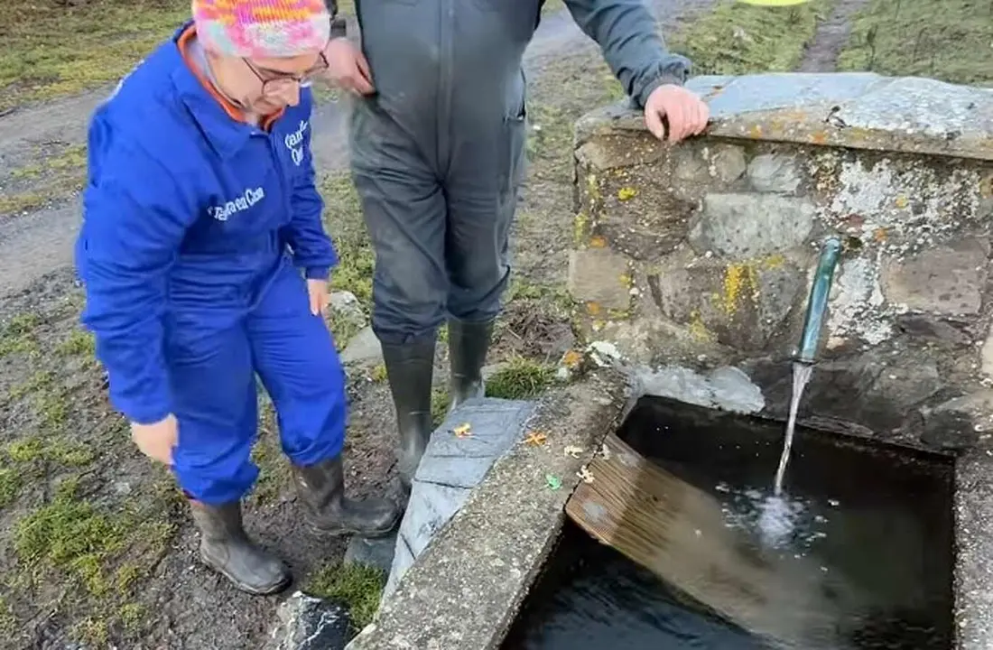 Los ganaderos ironizan y bromean sobre las "rampas para ranas".