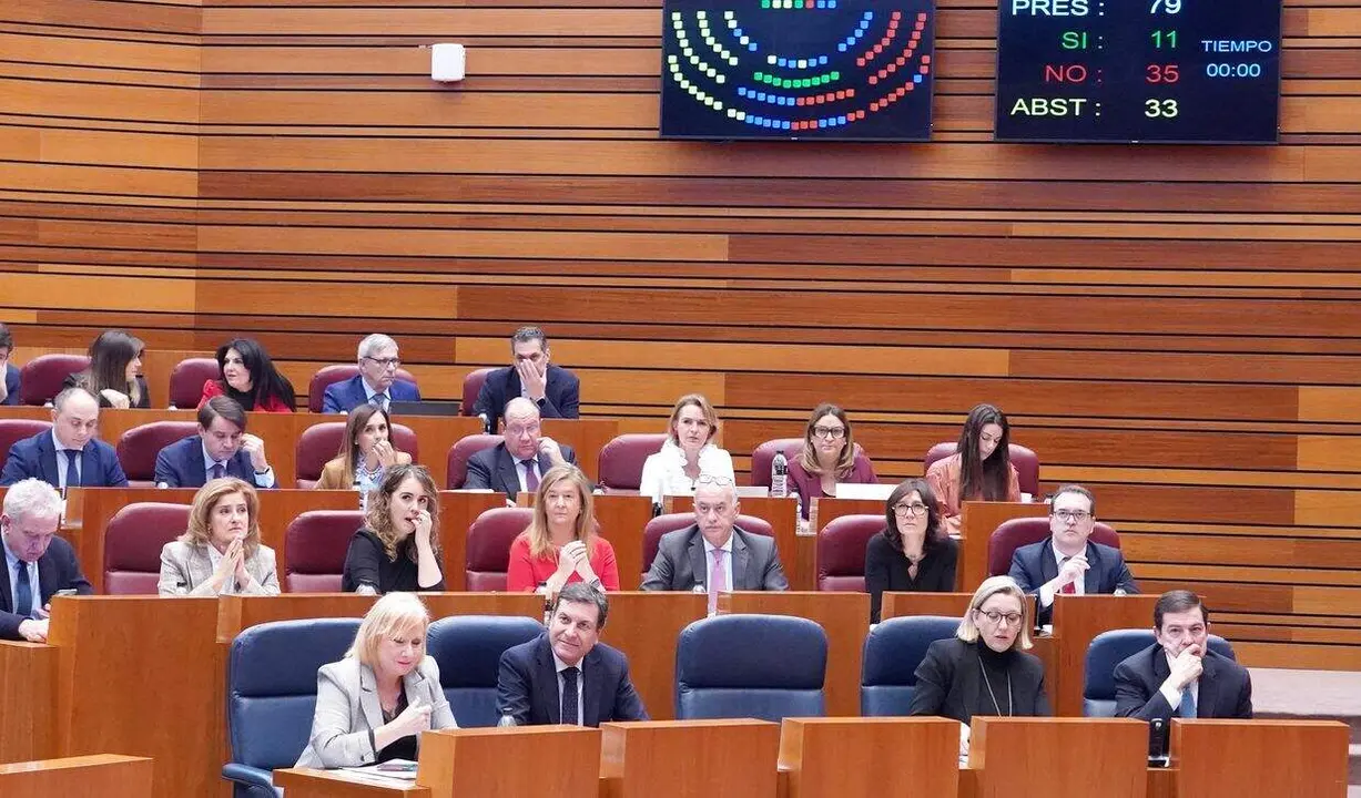 Votaci&oacute;n en la segunda sesi&oacute;n del pleno de las Cortes de Castilla y Le&oacute;n.