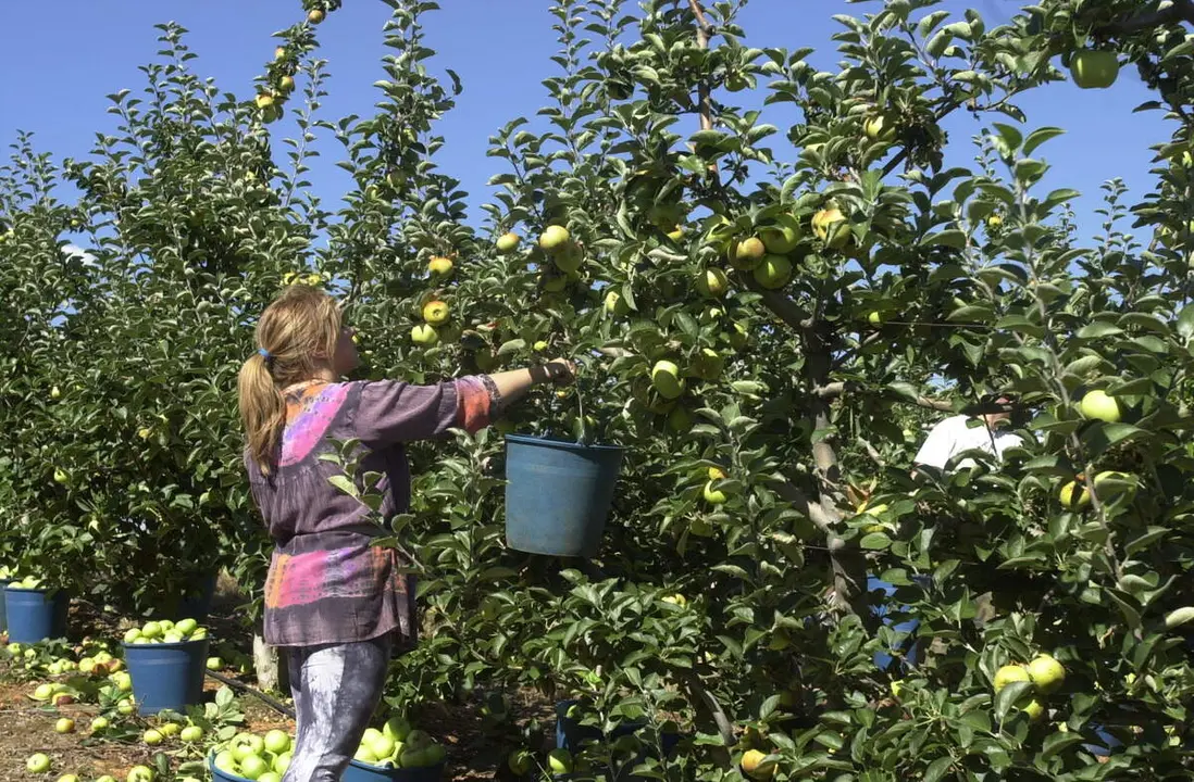 Frutales en El Bierzo