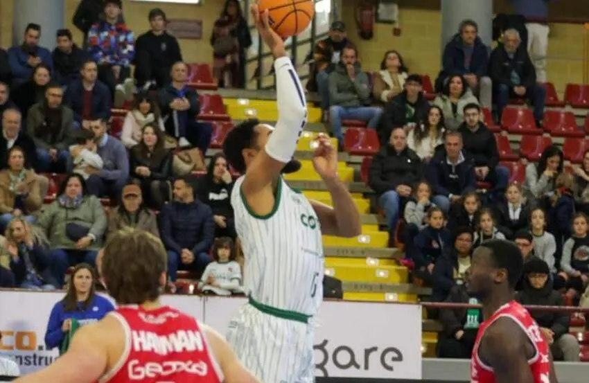 WhatsApp Image 2026-01-11 at 16.29.38