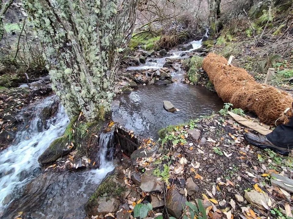 46e8320f-17a9-4fd4-af87-4224c3db8703