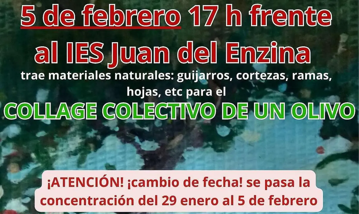 Concentraci&oacute;n 5 febrero Collage colectivo olivo paz