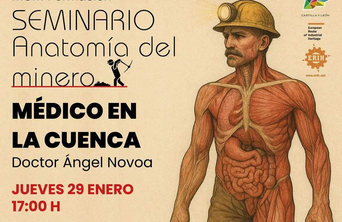 Anatomia del minero