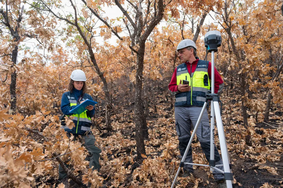 El CSIC documenta los da&ntilde;os ambientales y geol&oacute;gicos clave para la recuperaci&oacute;n postincendio de Las M&eacute;dulas
