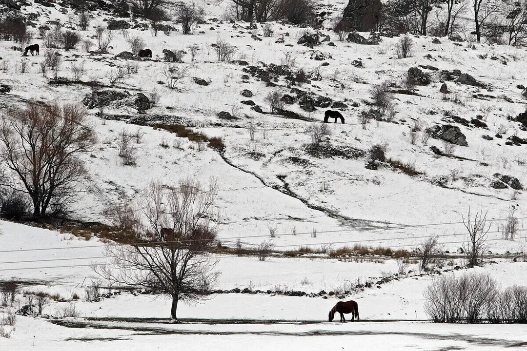 La nieve cubre los valles de la comarca de Arb&aacute;s, durante un temporal de este invierno. Foto: Peio Garc&iacute;a