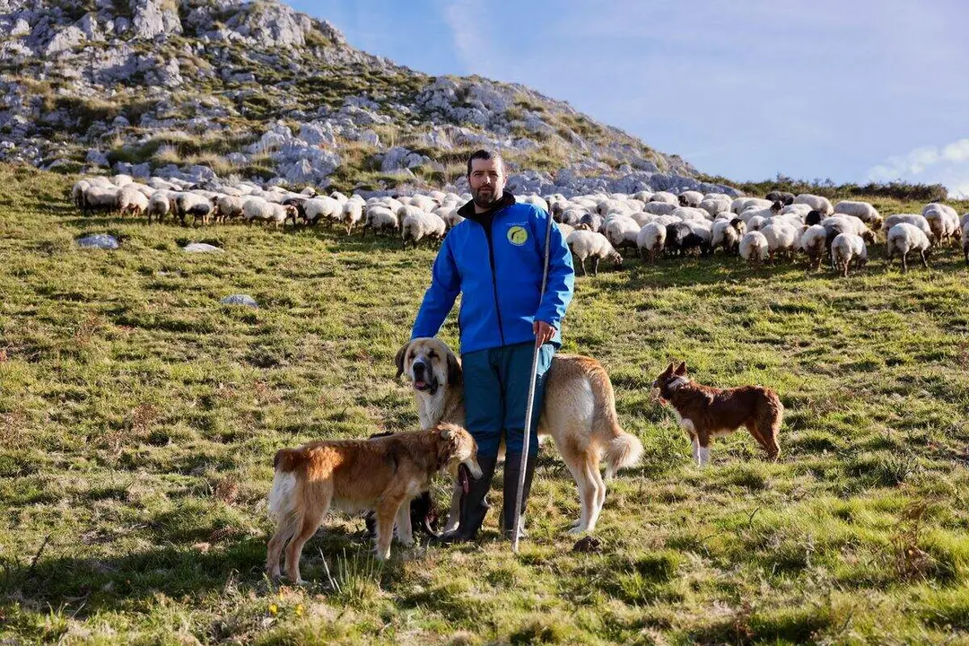 Rubén, uno de los ganaderos participantes, en su explotación de Benia de Onís. Foto: Alimerka.