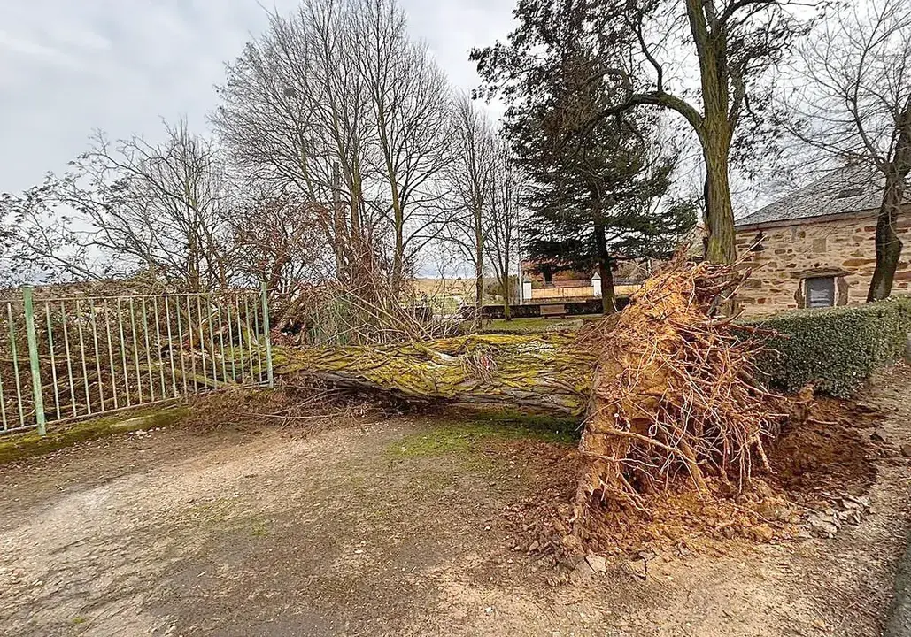 Las incidencias m&aacute;s destacadas se han registrado en espacios verdes, donde la combinaci&oacute;n de viento intenso y arbolado ha incrementado el riesgo de desprendimientos.