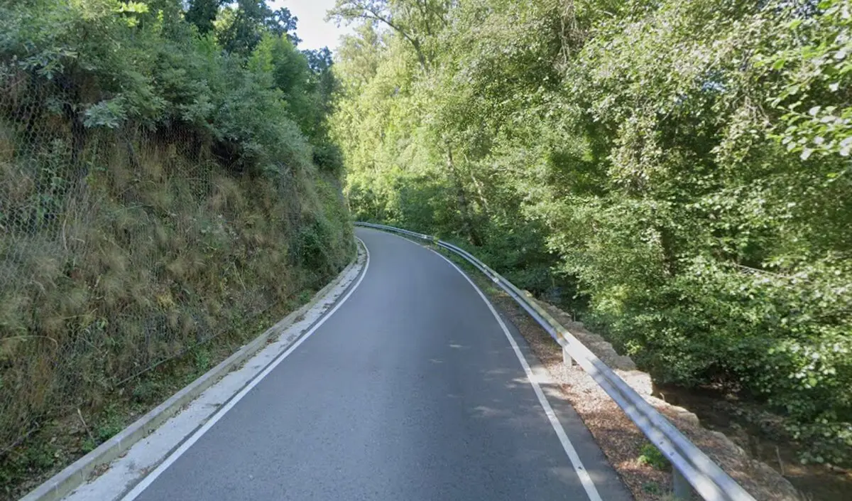 La Diputaci&oacute;n ha compartido esta imagen del estado de la carretera LE-5329 de su titularidad.